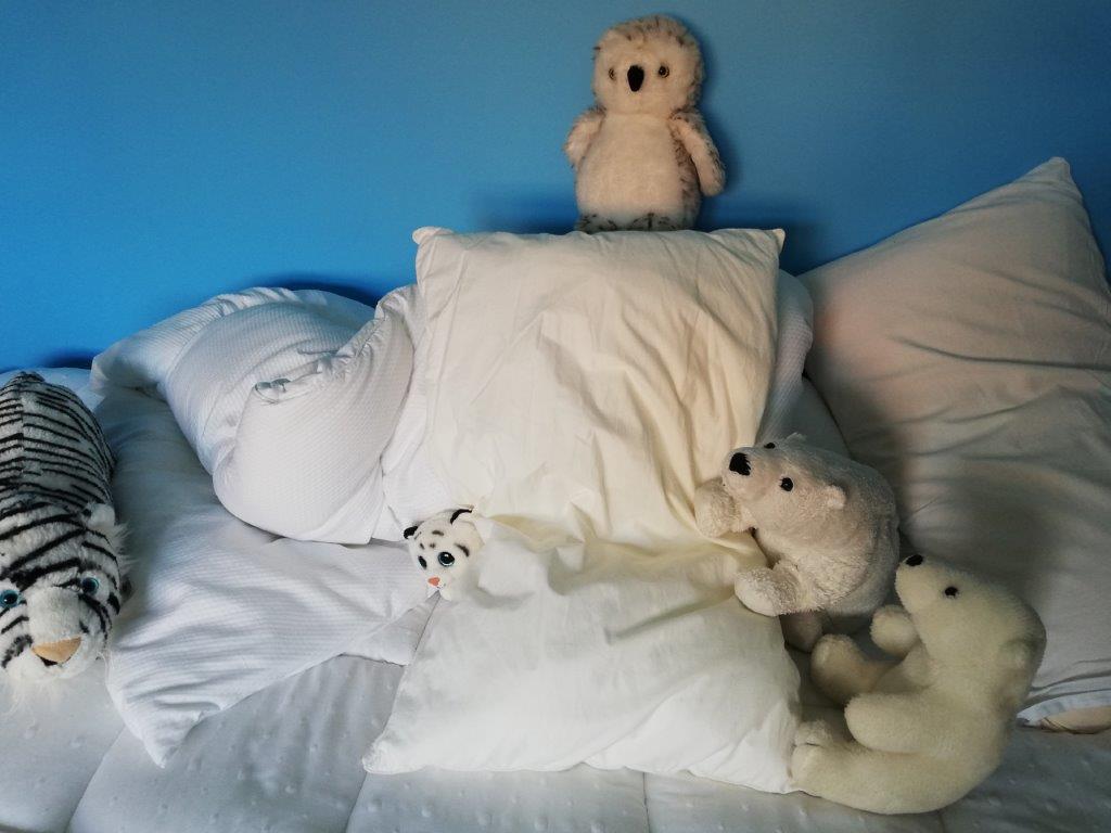 1.polar scene